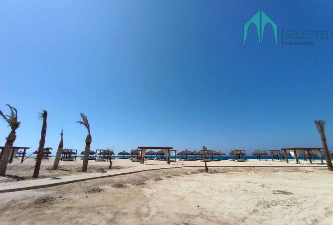 8295168 - Property Image 3