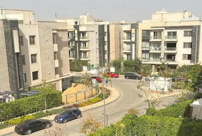 8031207 - Property Image 3