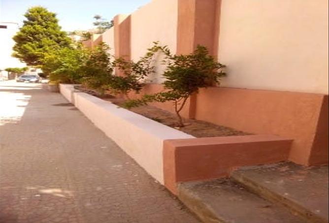 7988790 - صورة العقار 2