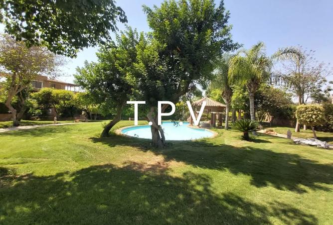 8360523 - Property Image 2