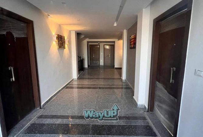 8384063 - Property Image 3