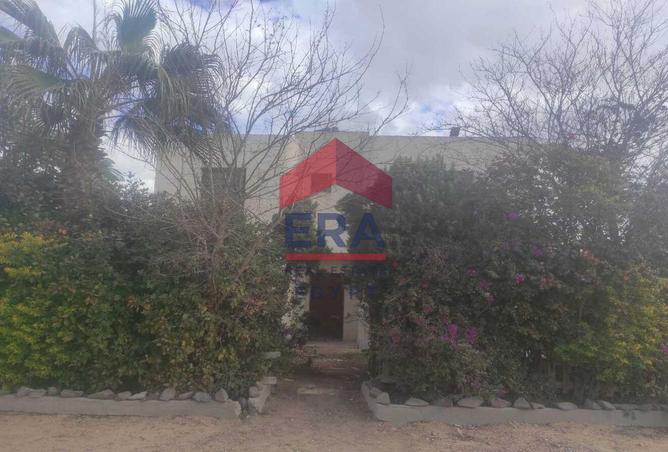 8188814 - صورة العقار 3