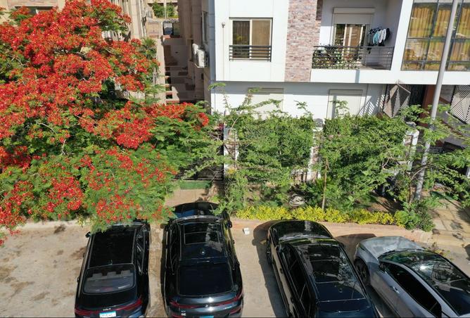 8163111 - صورة العقار 3