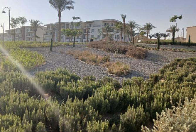 8162323 - Property Image 3