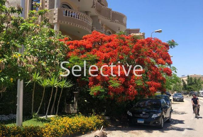 8076313 - Property Image 2