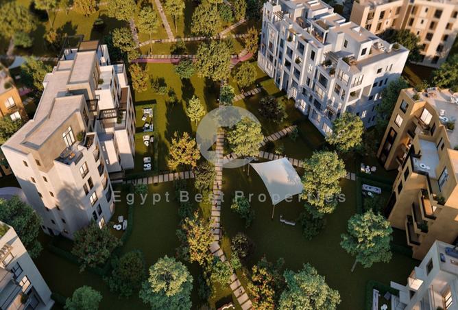 8196784 - Property Image 3