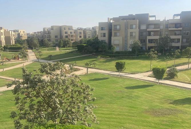 8208641 - صورة العقار 3