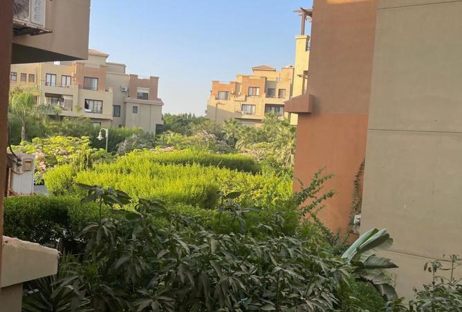 8175117 - صورة العقار 3