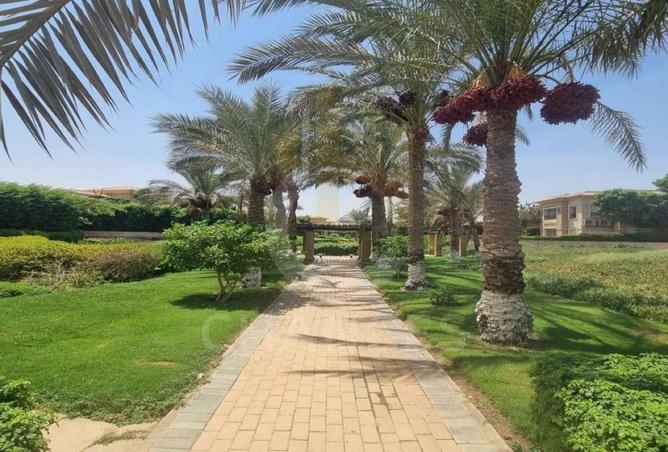 8387419 - صورة العقار 3