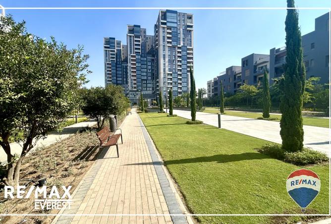 8123113 - Property Image 2