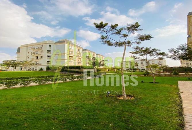 8206893 - صورة العقار 3