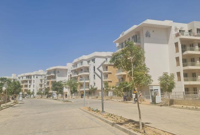 7927777 - Property Image 2