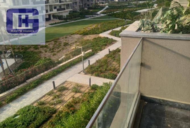 8240639 - Property Image 3