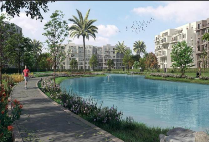 7994225 - صورة العقار 2