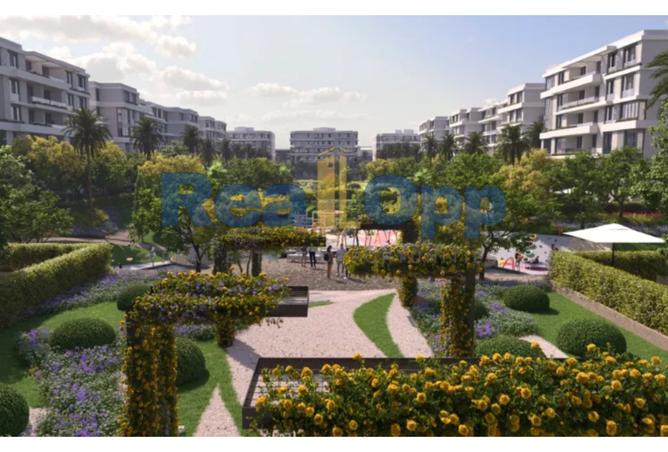 8121150 - Property Image 3