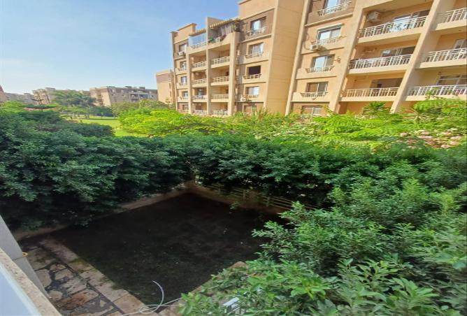 7995029 - صورة العقار 3