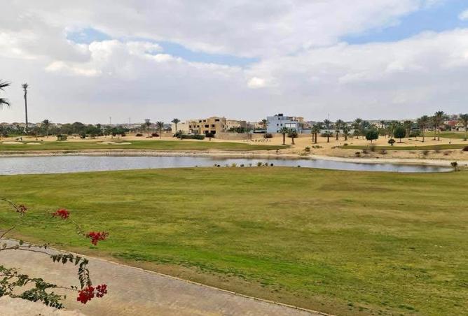 8002995 - صورة العقار 3
