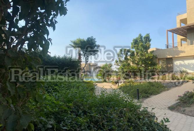 8232610 - Property Image 3