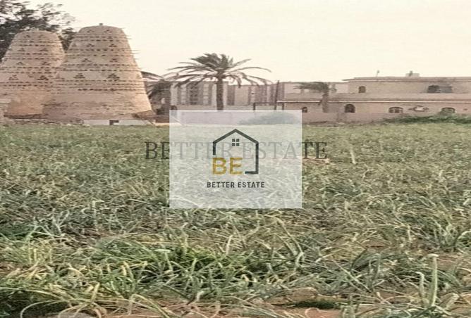 6361784 - Property Image 2