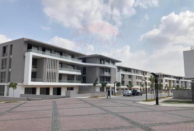 4911951 - Property Image 3