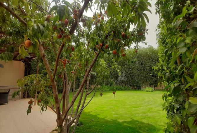 7926755 - صورة العقار 3