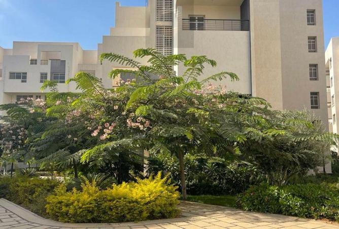 8073577 - صورة العقار 3