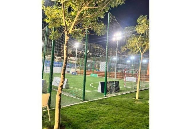 8150553 - Property Image 3