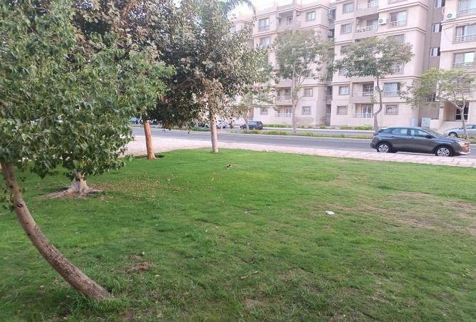 7995289 - صورة العقار 2