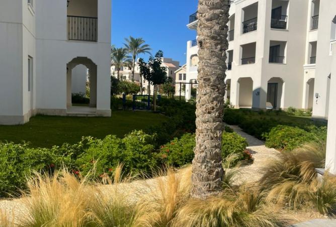 8217870 - صورة العقار 2