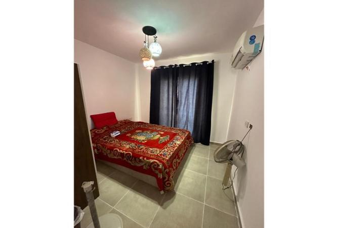 8315145 - Property Image 3