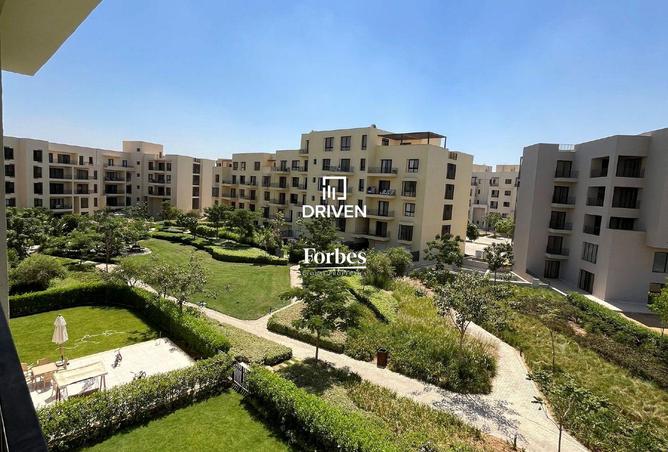 8237074 - Property Image 3