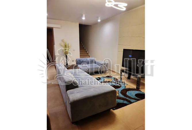 8467797 - Property Image 3