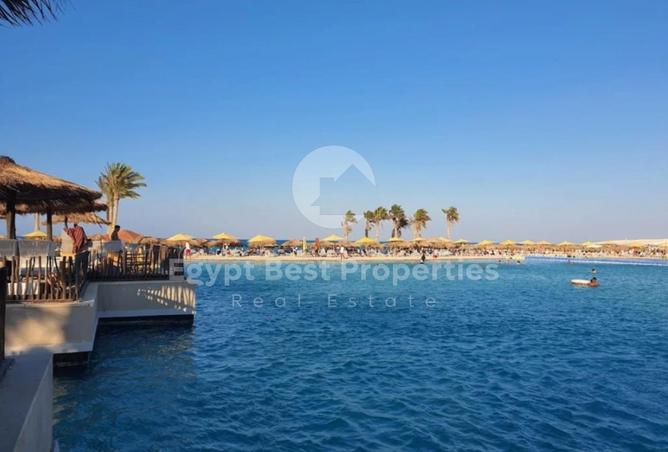 8194838 - Property Image 3