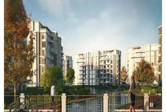 7995385 - Property Image 3