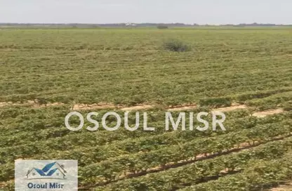 Land - Studio for sale in Cairo Alexandria Desert Road - Giza