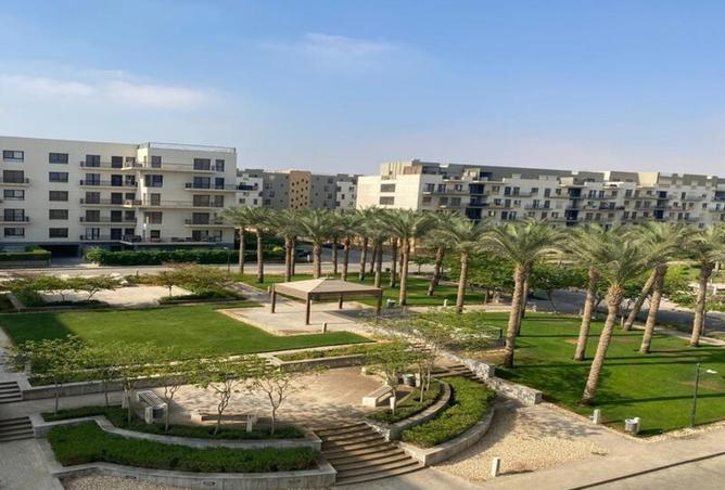 8003789 - صورة العقار 2