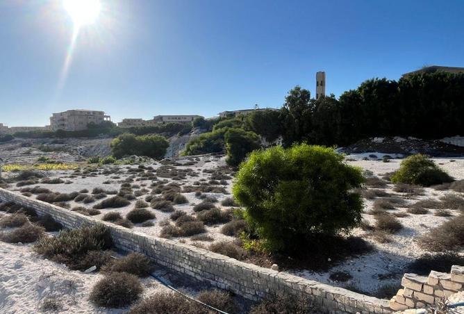 8386407 - صورة العقار 2