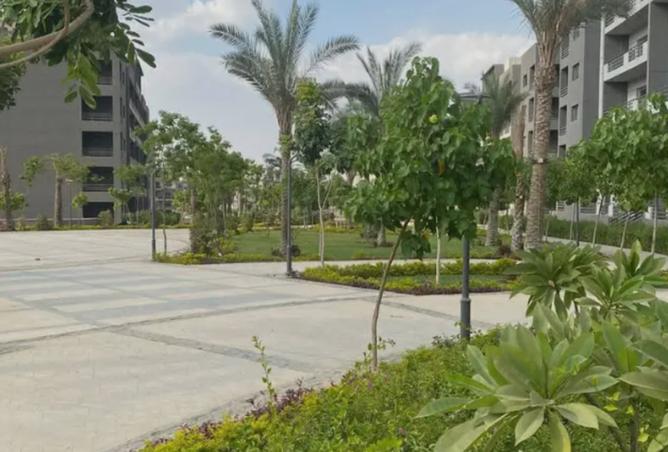 8079250 - صورة العقار 3