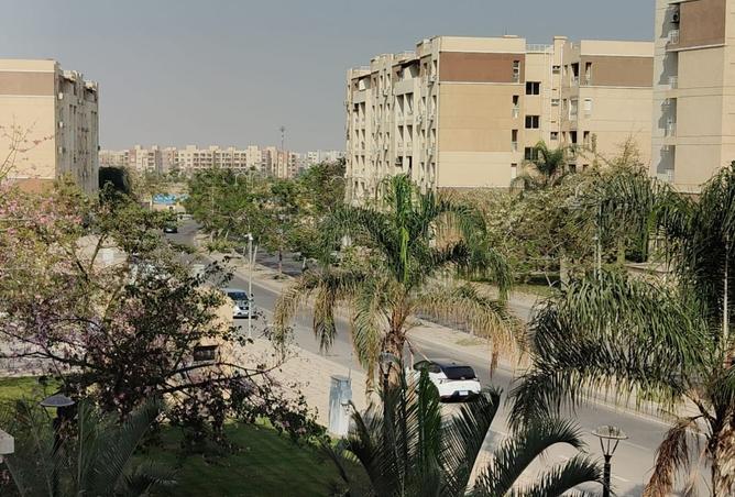 8235638 - Property Image 3