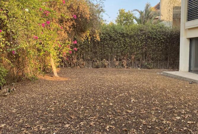 7962818 - صورة العقار 2