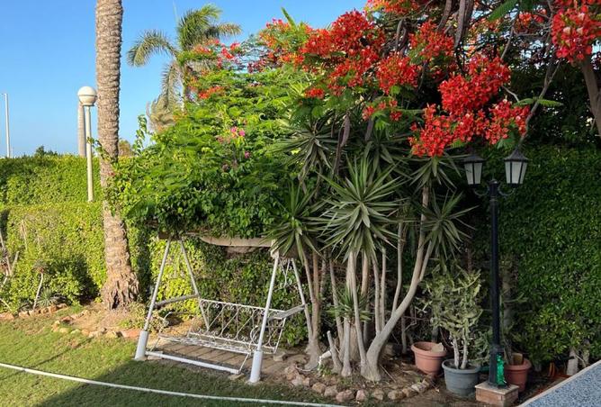 8497486 - صورة العقار 3