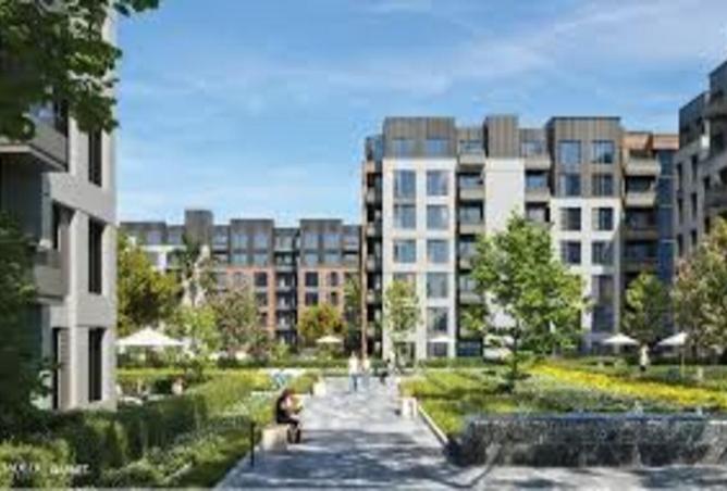 8081009 - Property Image 3