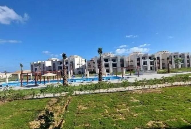 8234779 - صورة العقار 3