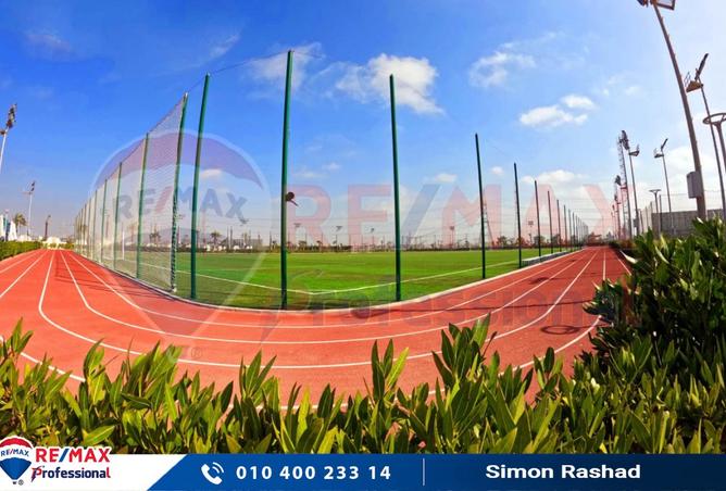 7763647 - صورة العقار 3