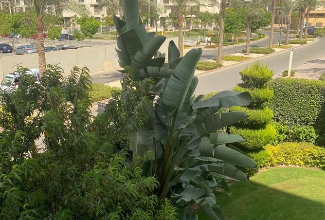 8074144 - Property Image 3