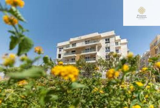 8365998 - Property Image 2