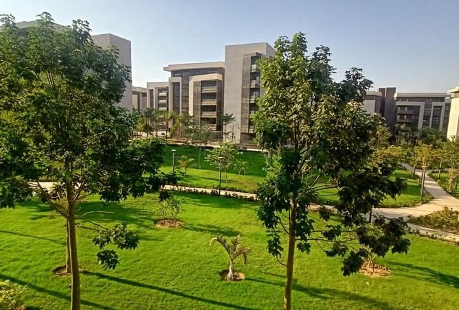 8271977 - الصورة الرئيسية للعقار