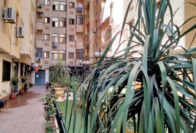 7904649 - Property Image 2