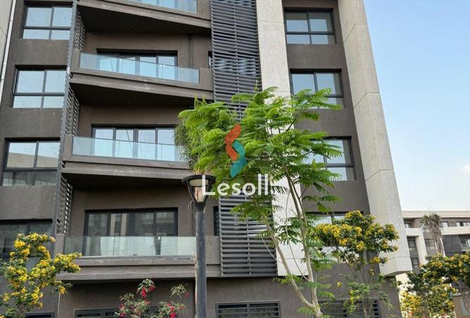 8253348 - Property Image 2