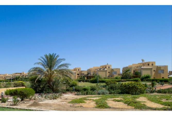8126580 - Property Image 3